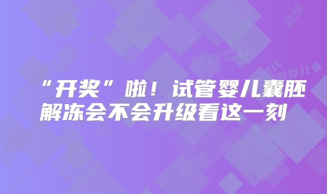 “开奖”啦！试管婴儿囊胚解冻会不会升级看这一刻