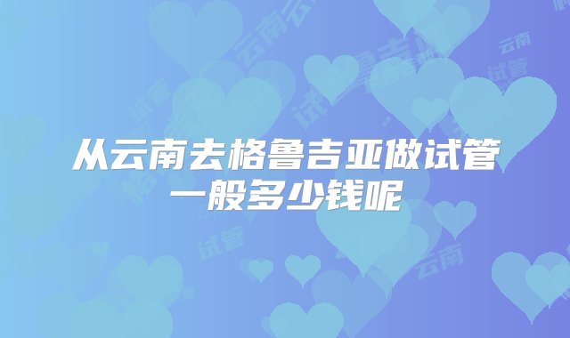 从云南去格鲁吉亚做试管一般多少钱呢