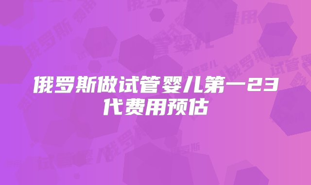 俄罗斯做试管婴儿第一23代费用预估