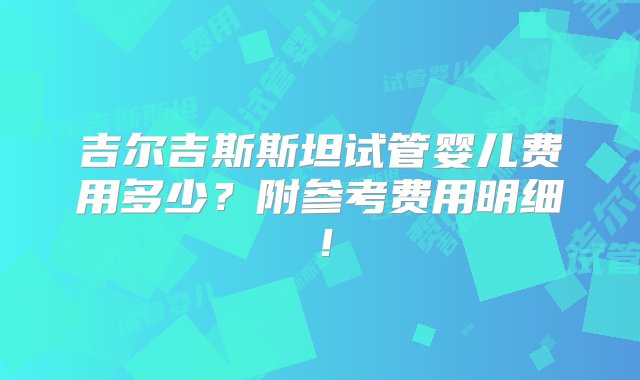 吉尔吉斯斯坦试管婴儿费用多少？附参考费用明细！