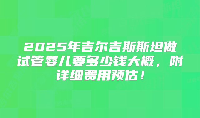 2025年吉尔吉斯斯坦做试管婴儿要多少钱大概，附详细费用预估！