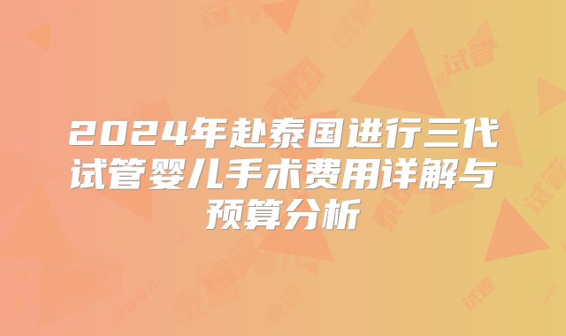 2024年赴泰国进行三代试管婴儿手术费用详解与预算分析