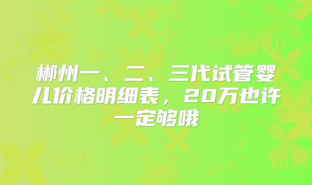 郴州一、二、三代试管婴儿价格明细表，20万也许一定够哦