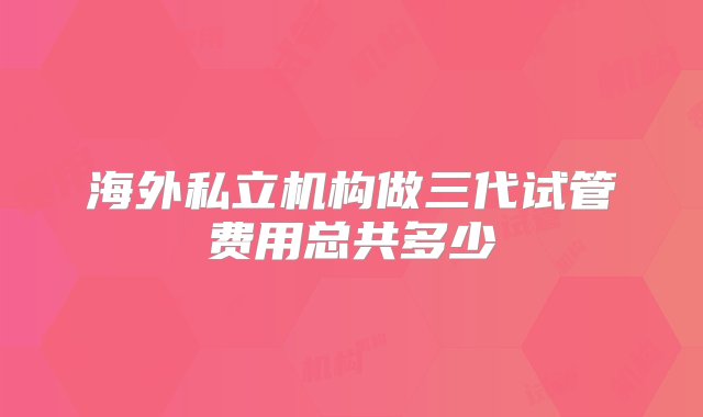 海外私立机构做三代试管费用总共多少