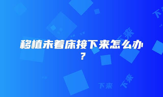 移植未着床接下来怎么办？