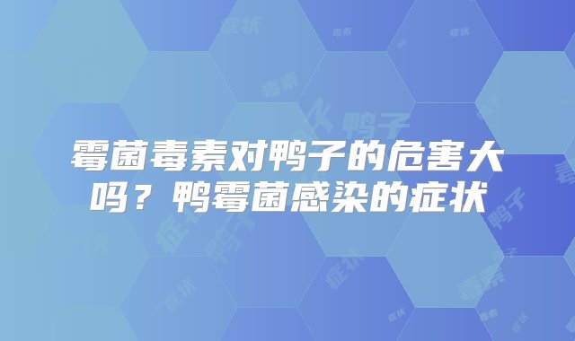 霉菌毒素对鸭子的危害大吗？鸭霉菌感染的症状