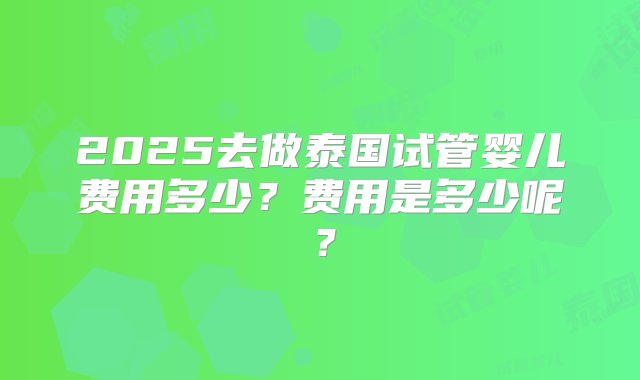 2025去做泰国试管婴儿费用多少？费用是多少呢？