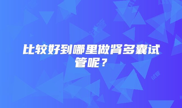 比较好到哪里做肾多囊试管呢？