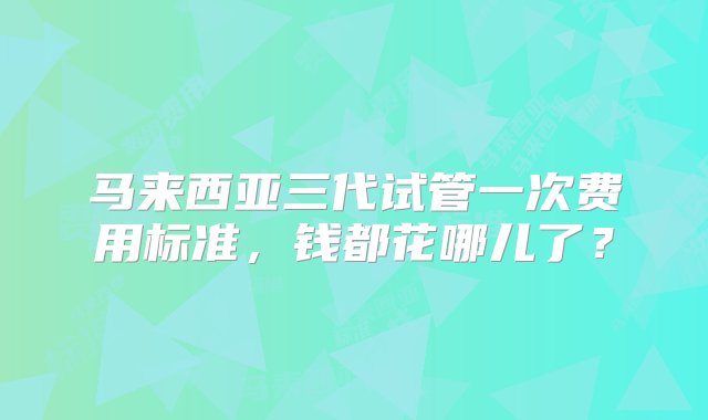 马来西亚三代试管一次费用标准，钱都花哪儿了？