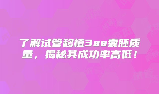 了解试管移植3aa囊胚质量，揭秘其成功率高低！