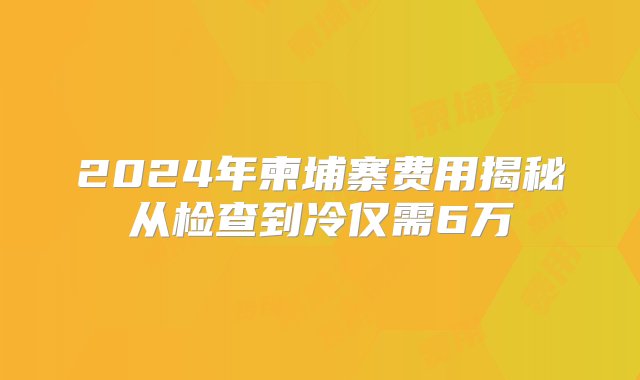 2024年柬埔寨费用揭秘从检查到冷仅需6万