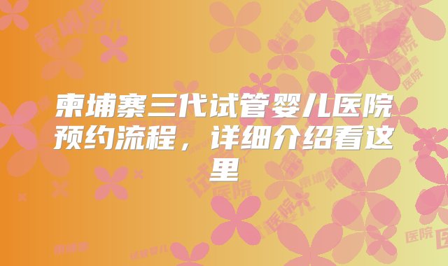 柬埔寨三代试管婴儿医院预约流程，详细介绍看这里