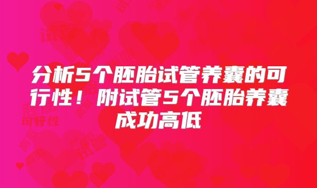 分析5个胚胎试管养囊的可行性！附试管5个胚胎养囊成功高低