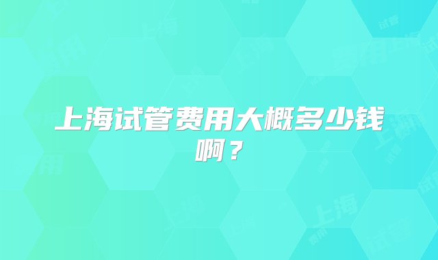 上海试管费用大概多少钱啊？