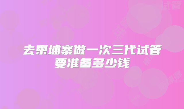 去柬埔寨做一次三代试管要准备多少钱