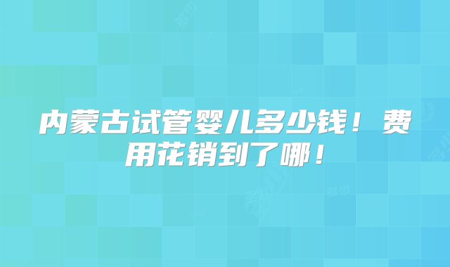 内蒙古试管婴儿多少钱！费用花销到了哪！