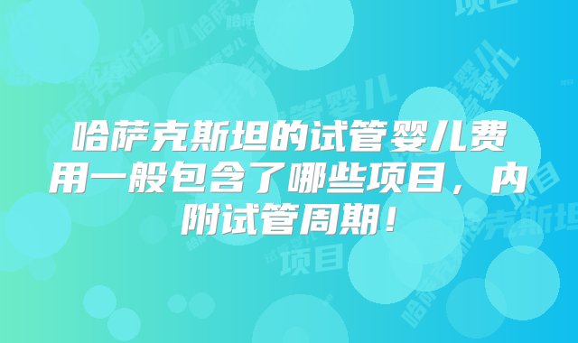 哈萨克斯坦的试管婴儿费用一般包含了哪些项目，内附试管周期！