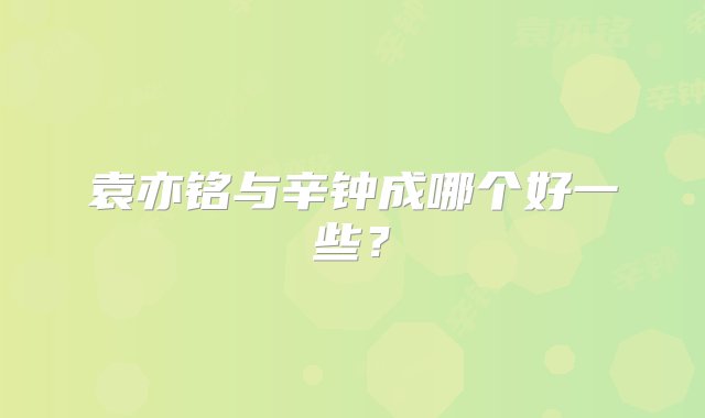 袁亦铭与辛钟成哪个好一些？