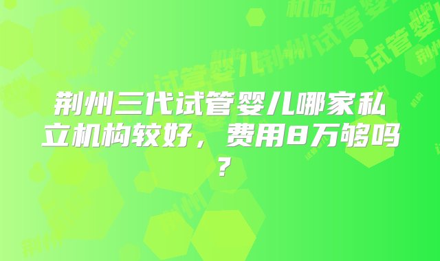 荆州三代试管婴儿哪家私立机构较好，费用8万够吗？