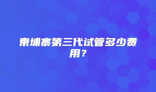 柬埔寨第三代试管多少费用？