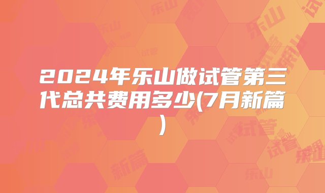 2024年乐山做试管第三代总共费用多少(7月新篇)