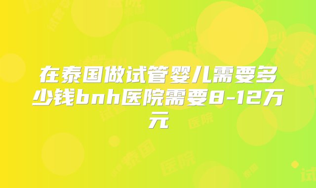 在泰国做试管婴儿需要多少钱bnh医院需要8-12万元