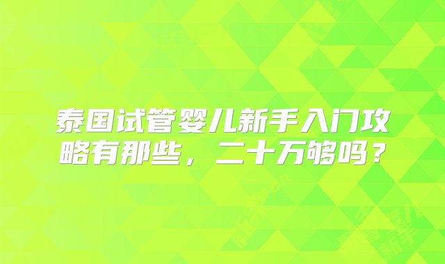 泰国试管婴儿新手入门攻略有那些，二十万够吗？