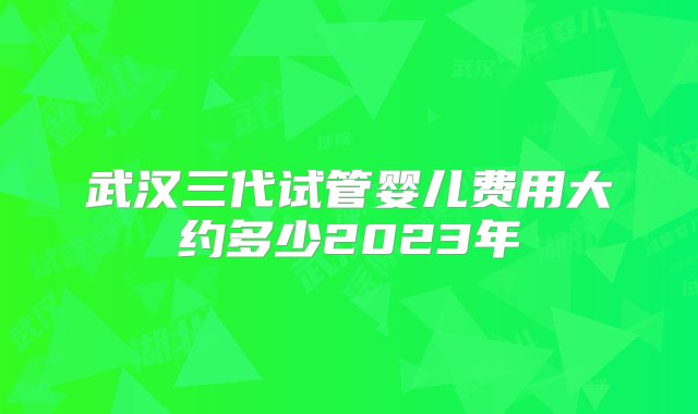 武汉三代试管婴儿费用大约多少2023年