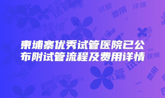 柬埔寨优秀试管医院已公布附试管流程及费用详情