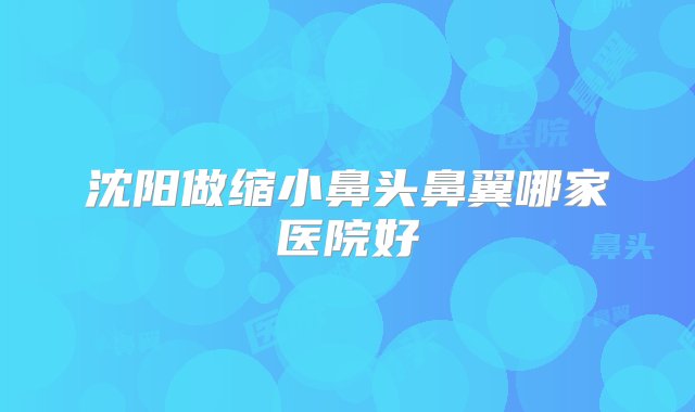 沈阳做缩小鼻头鼻翼哪家医院好