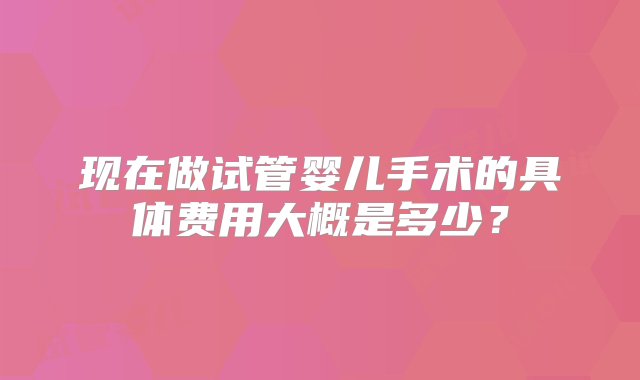 现在做试管婴儿手术的具体费用大概是多少？