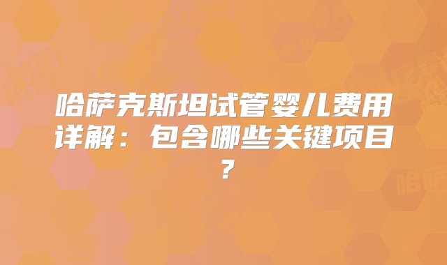 哈萨克斯坦试管婴儿费用详解：包含哪些关键项目？