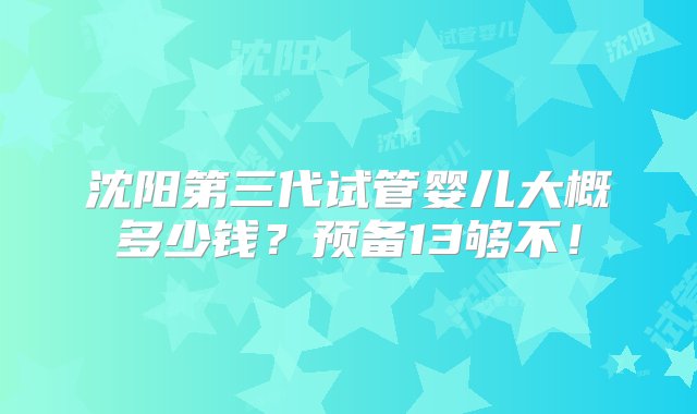 沈阳第三代试管婴儿大概多少钱？预备13够不！