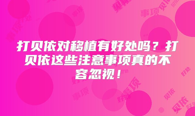 打贝依对移植有好处吗？打贝依这些注意事项真的不容忽视！