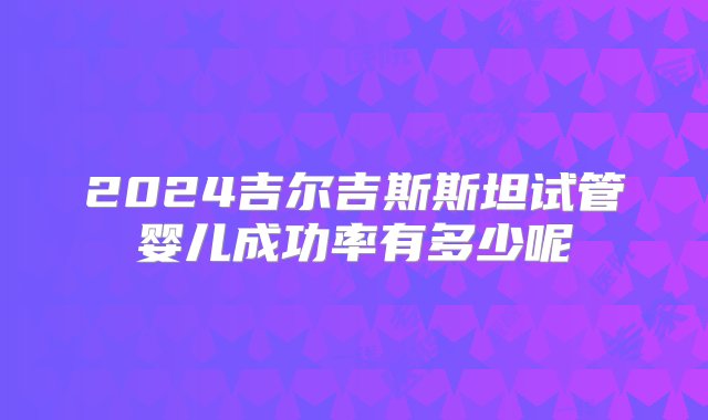 2024吉尔吉斯斯坦试管婴儿成功率有多少呢