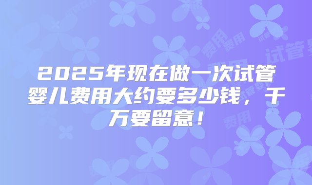 2025年现在做一次试管婴儿费用大约要多少钱，千万要留意！