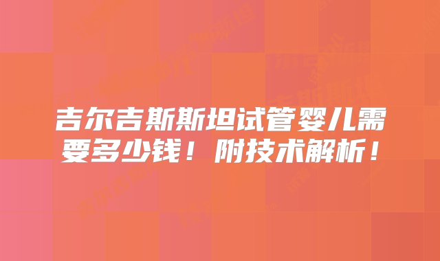 吉尔吉斯斯坦试管婴儿需要多少钱！附技术解析！