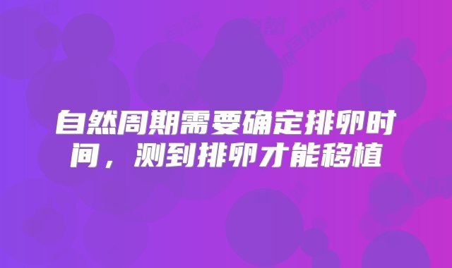 自然周期需要确定排卵时间，测到排卵才能移植