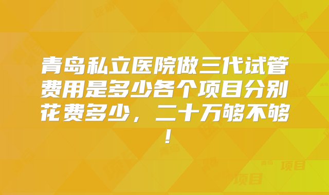 青岛私立医院做三代试管费用是多少各个项目分别花费多少，二十万够不够！