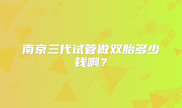 南京三代试管做双胎多少钱啊？