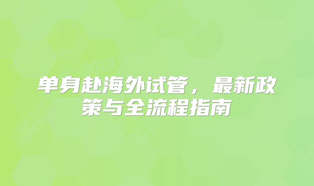 单身赴海外试管，最新政策与全流程指南