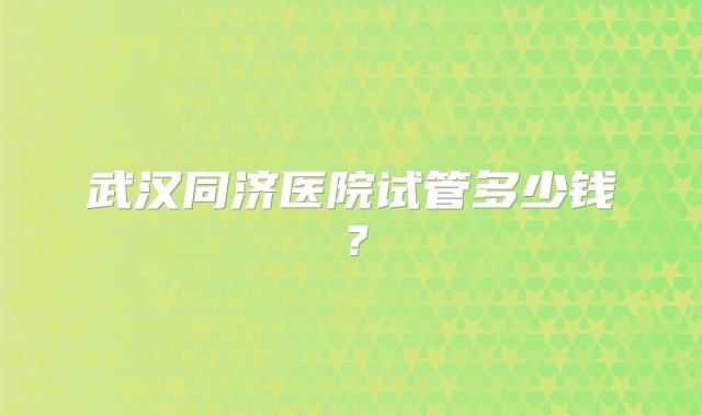 武汉同济医院试管多少钱？