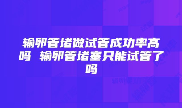 输卵管堵做试管成功率高吗 输卵管堵塞只能试管了吗