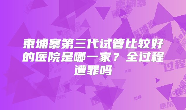 柬埔寨第三代试管比较好的医院是哪一家？全过程遭罪吗