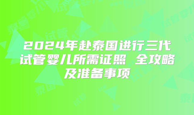 2024年赴泰国进行三代试管婴儿所需证照 全攻略及准备事项