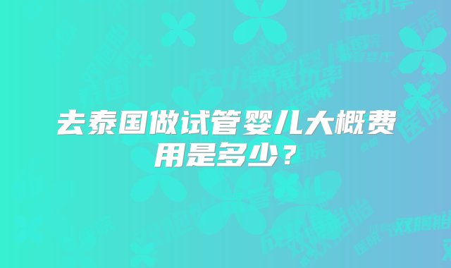 去泰国做试管婴儿大概费用是多少？