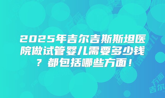 2025年吉尔吉斯斯坦医院做试管婴儿需要多少钱？都包括哪些方面！