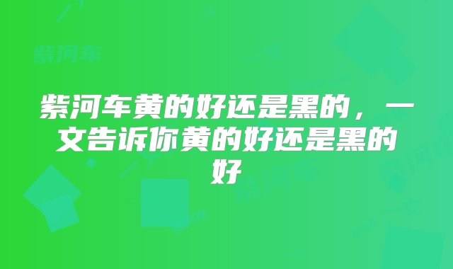 紫河车黄的好还是黑的，一文告诉你黄的好还是黑的好