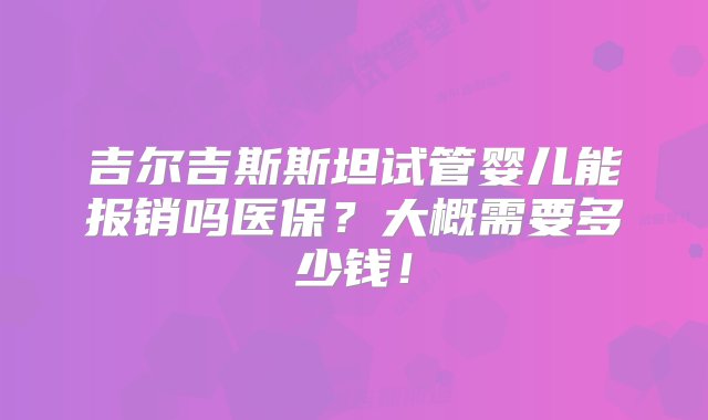 吉尔吉斯斯坦试管婴儿能报销吗医保？大概需要多少钱！