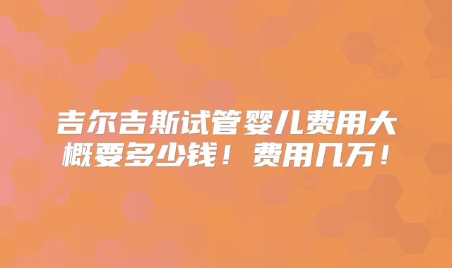 吉尔吉斯试管婴儿费用大概要多少钱！费用几万！